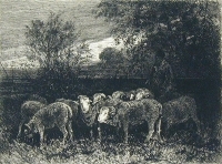 Пейзаж с овцами Гравюра (вторая половина XIX века), Австрия артикул 5059b.